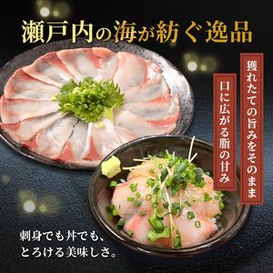 天然 はまち刺身 約300g ハマチ 冷凍