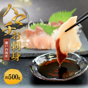 天然 はまち刺身 約500g ハマチ 冷凍