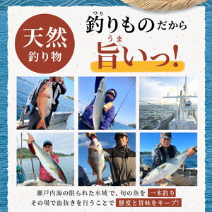 天然 さわらたたき 約500g サワラ 冷凍