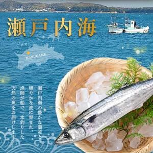 天然 さわらたたき 約1kg サワラ 冷凍