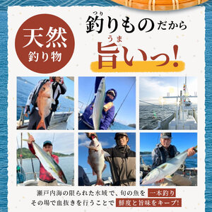 天然 真鯛刺身 約450g 鯛 冷凍