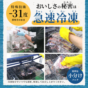 天然 真鯛刺身 約450g 鯛 冷凍