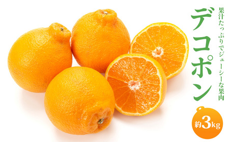 予約 デコポン 3kg 配送：2026年3月中旬～