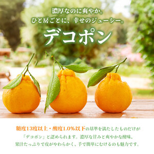 デコポン(L～2L) 5kg でこぽん 3月中旬配送