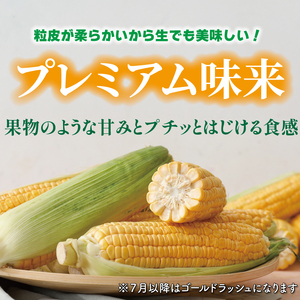 予約 スイートコーン 5kg とうもろこし コーン 配送：6月～7月