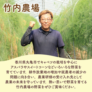 アスパラガス さぬきのめざめ 約1kg 配送：3月上旬～