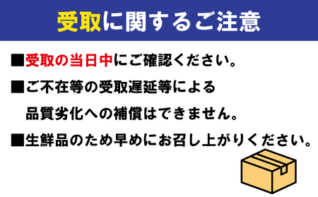 【にんにく】 生にんにく 新物 約1kg バラ 野菜 にんにく