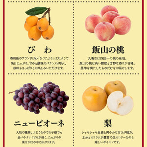 【定期便3回】 お試しパック フルーツ 果物 定期便