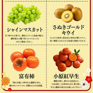 【定期便3回】 お試しパック フルーツ 果物 定期便