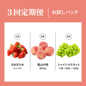 【定期便3回】 お試しパック フルーツ 果物 定期便