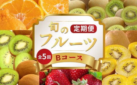 旬のフルーツ定期便 5回 Bコース フルーツ 定期便