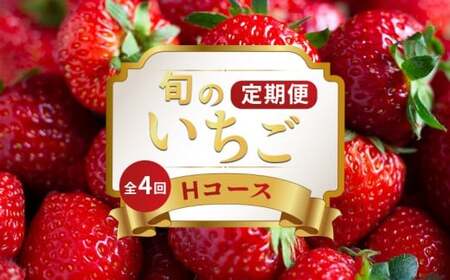 いちごの定期便 4回 Hコース フルーツ 定期便