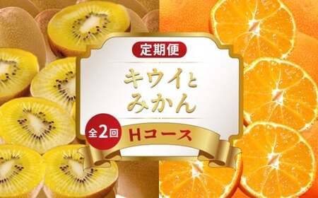 旬のフルーツ定期便 2回 Hコース フルーツ 定期便