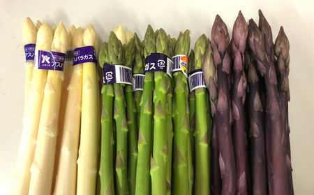 アスパラガス 3種 セット丸亀産 アスパラ グリーンアスパラ ホワイトアスパラガス 紫アスパラガス 野菜 旬 旬の野菜 季節の野菜 産地直送 香川 香川県 丸亀 冷蔵 冷蔵配送 先行 予約 2026 2026年 3月以降発送開始