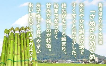 【早出し】さぬきのめざめ春芽（アスパラガス）約800g【1月下旬発送開始】