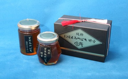 日本みつばちの純粋蜂蜜 大小セット 加工食品 はちみつ ハチミツ 