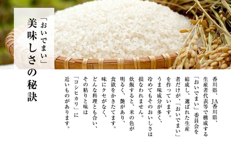 米 10kg さぬきの米 おいでまい お米 精米 ギフト おいしい 国産 香川 白米 コメ ライス