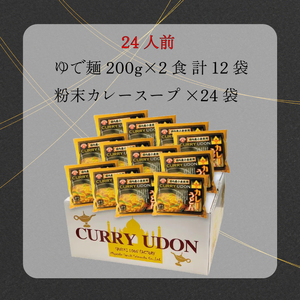 カレーうどん 24人前 スープ付 さぬきうどん 