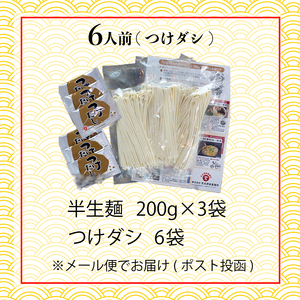 讃岐うどん 半生 6人前 つけだし付 うどん