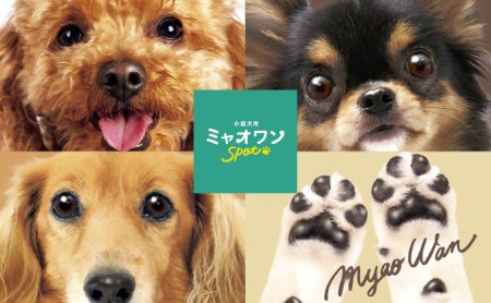 ペット用 耳掃除用ウェットティッシュ(10枚入 40個)ペット用品 ウェットティッシュ 日用品