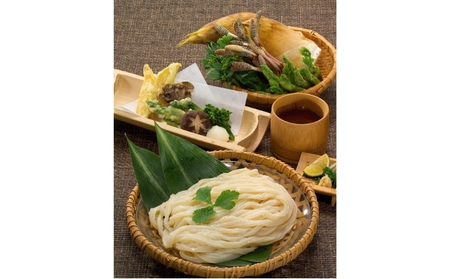 讃岐うどん 名店食べ比べ5種セット うどん