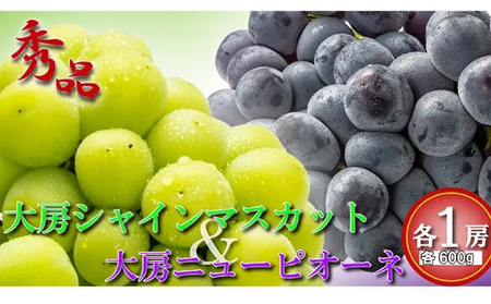 【先行予約】 大房 シャインマスカット＆ニューピオーネ 各1房 各約600g ブドウ ぶどう
