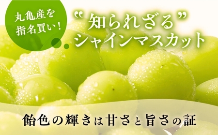 【先行予約】 シャインマスカット 約2kg 3～5房 丸亀産 シャインマスカット