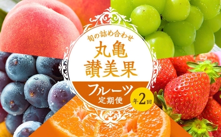 丸亀讃美果 フルーツ定期便 2回  旬のフルーツ 果物定期便
