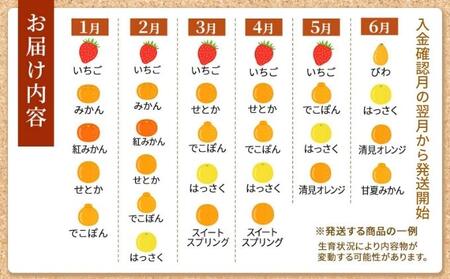 旬のフルーツ詰合せ！丸亀讃果　計2回定期便 今が旬 の厳選果実