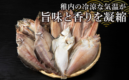稚内5魚種一夜干セット(極味干し)【配送不可地域：離島・沖縄県】
