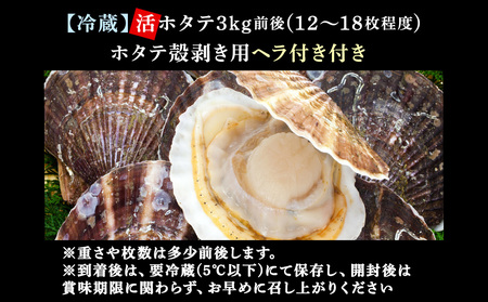 【先行受付】《冷蔵便でお届け!》北海道宗谷産活ホタテ3kg前後詰合せセット　泳ぐ帆立参上!【配送不可地域：離島・沖縄県・信越、北陸・東海・近畿・中国・四国・九州】