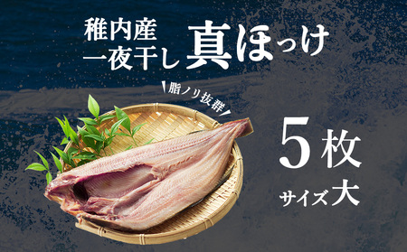 稚内産一夜干し真ほっけサイズ大5枚【配送不可地域：離島・沖縄県】