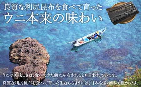 【先行予約】【うにの名産地稚内市】最北端の生むらさきうに(100gパック×2)