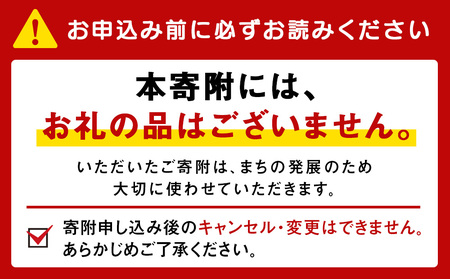 北海道 稚内市☆応援寄付金10000円☆【返礼品なし】
