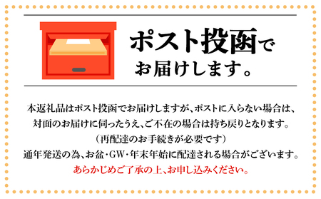 【定期便3ヶ月】自家焙煎珈琲　ニカラグア・サンタナ農園SHG 中煎り(豆) 200g