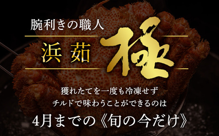 【未冷凍、冷蔵発送! 2026年新物】極・稚内産毛ガニ800g~900g 浜茹でチルド