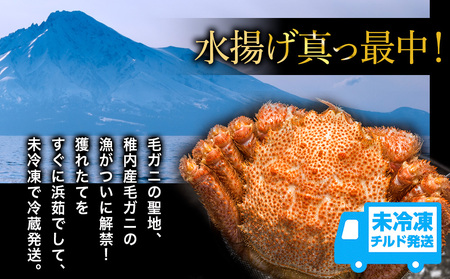 【未冷凍、冷蔵発送! 2026年新物】極・稚内産毛ガニ800g~900g 浜茹でチルド