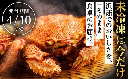【未冷凍でお届け！】稚内産チルド毛がに 900g前後×1尾