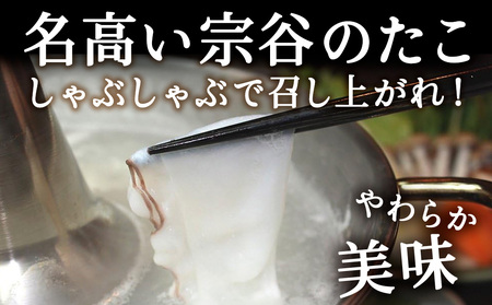 【 北海道産 】 たこしゃぶ セット 500g ( 特製タレ付 ) 稚内市 国産 スライス【配送不可地域:離島・沖縄県】