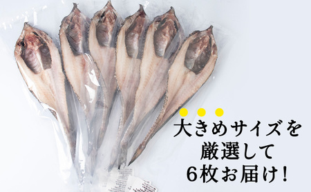 稚内産 生冷八角　6枚【配送不可地域：離島・沖縄県】