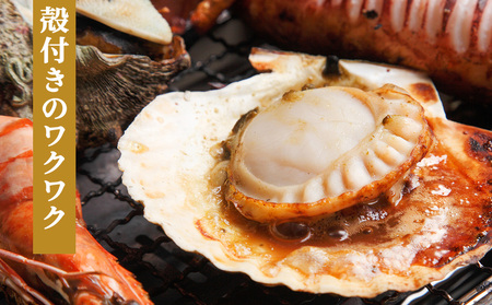 【北海道オホーツク海産】ホタテ殻(片貝)付き冷凍(30枚)【配送不可地域:離島・沖縄県】