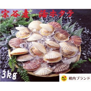 【先行受付】宗谷漁協発!産地直送!活ほたて約3kg(13～15枚入)刺身 海鮮【配送不可地域：離島・沖縄県】【1305797】