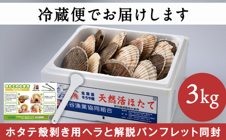 【先行受付】宗谷漁協発!産地直送!活ほたて約3kg(13～15枚入)刺身 海鮮【配送不可地域：離島・沖縄県】