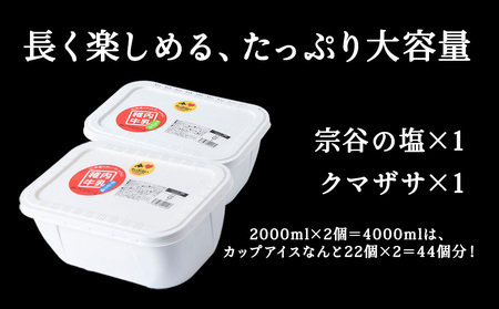 【業務用】稚内牛乳アイスクリーム2000ml宗谷の塩×クマザサ2個セット【配送不可地域：離島・沖縄県】