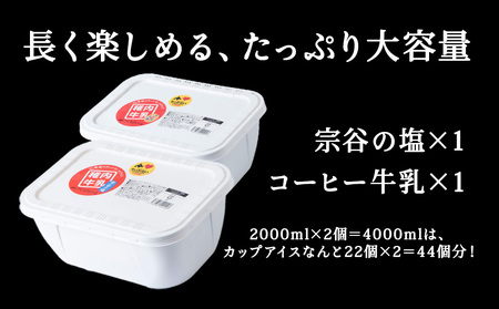 【業務用】稚内牛乳アイスクリーム2000ml宗谷の塩×コーヒー牛乳2個セット【配送不可地域：離島・沖縄県】