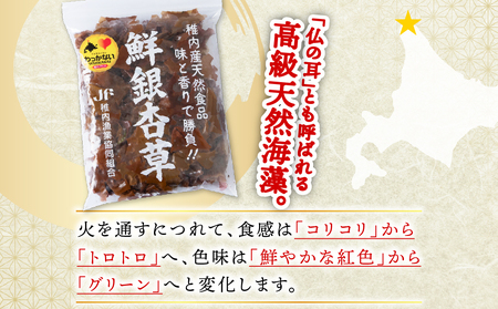 天然海藻の銀杏草【配送不可地域:離島・沖縄県】