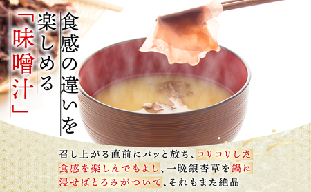 天然海藻の銀杏草【配送不可地域:離島・沖縄県】