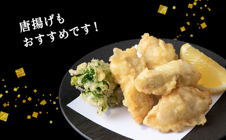 【 北海道 稚内産 】 天然 ふぐ 鍋用 切身 500g ~ 国産 アラ付【配送不可地域:離島・沖縄県】