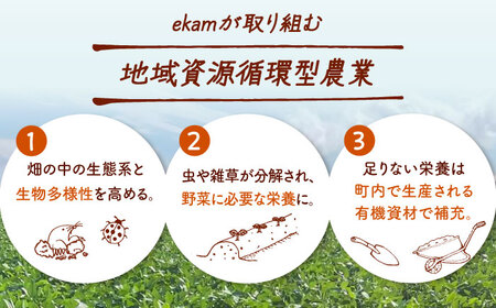 《農薬不使用》乾燥小粒青大豆（品種：黒神）【ekam】 大豆 豆 オーガニック 農薬不使用 有機JAS認証 青大豆 乾燥大豆 北海道 [AXBV001] 7000 7000円