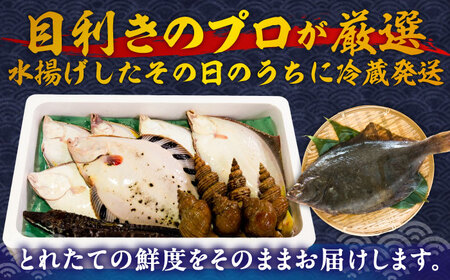 【北海道】漁港直送！季節のおまかせ鮮魚 3kg【鵡川漁業協同組合】 鮮魚 鮮魚 鮮魚 鮮魚 鮮魚 鮮魚 [AXAL002]